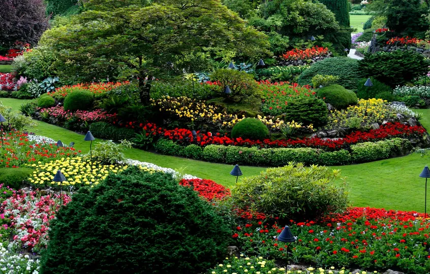 wide view of a beautifully landscaped garden