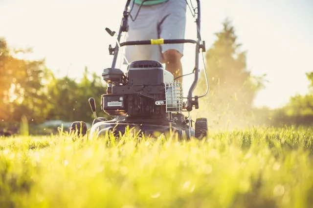 low view angle of a person pushing a mower to cut grass