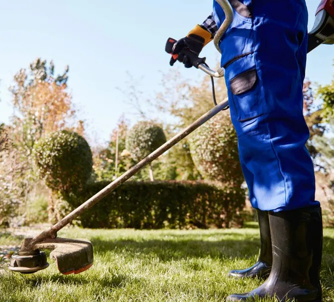 gardener with weedwhacker cutting garden grass