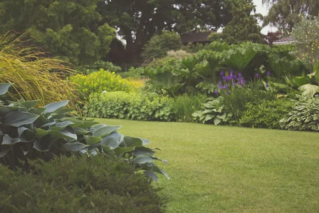 waist high view of a beautiful garden