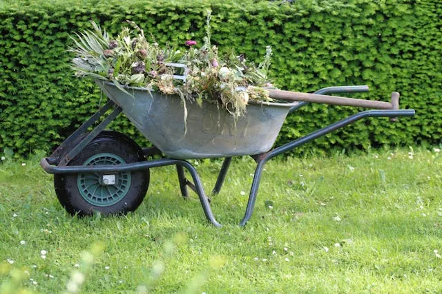 wheelbarrow carrying landscaping equipment and organic material in front of bushes